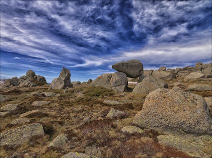 Rams Head Range - Kosciuszko NP - NSW SQ (PBH4 00 10687)